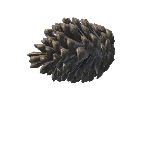 pine cone 2 alt_low